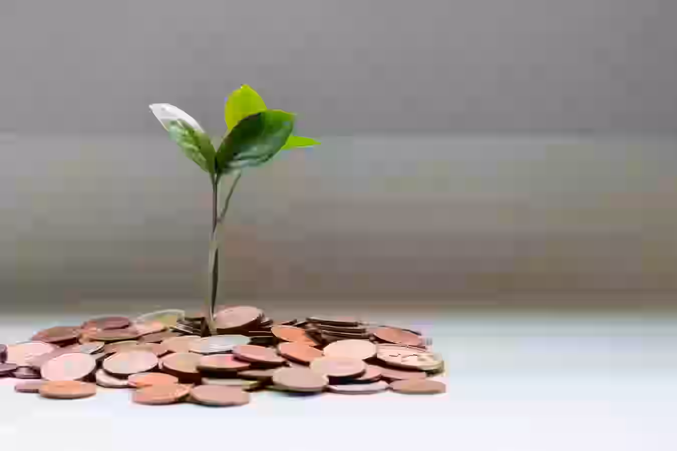 Financial Management
